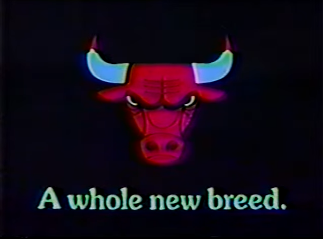 The undefeated Bulls